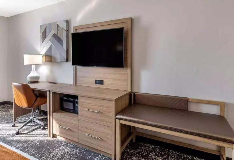 酒店 Comfort Suites Anderson Clemson