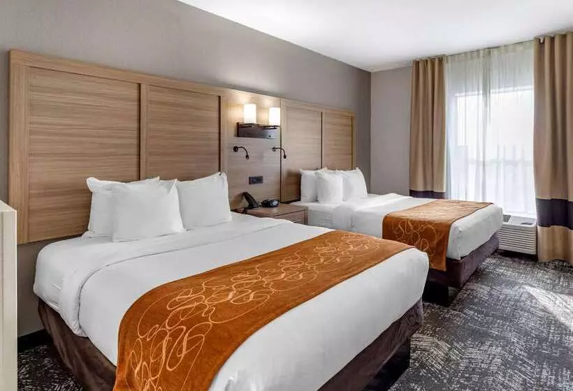 酒店 Comfort Suites Anderson Clemson