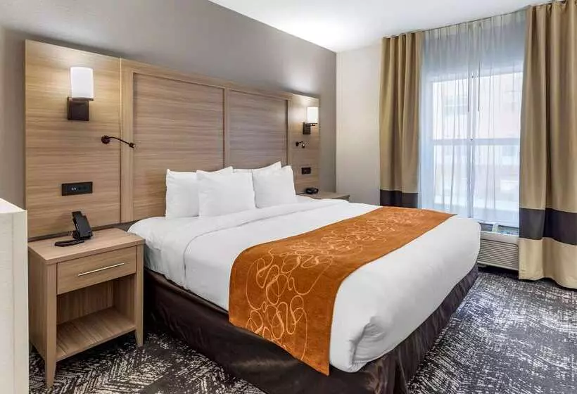 酒店 Comfort Suites Anderson Clemson