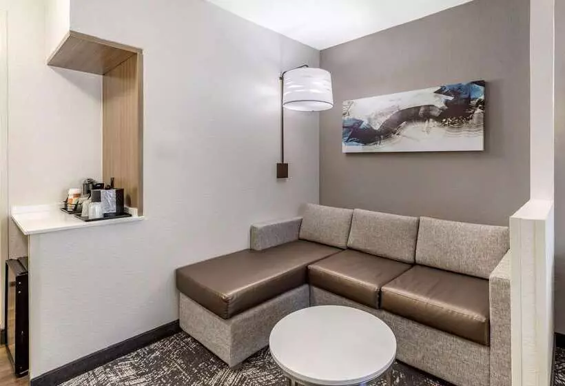 酒店 Comfort Suites Anderson Clemson