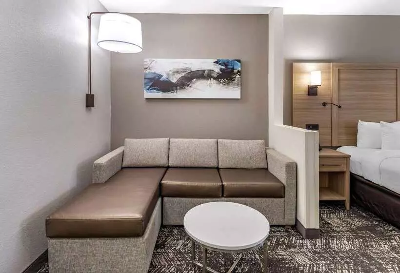 酒店 Comfort Suites Anderson Clemson