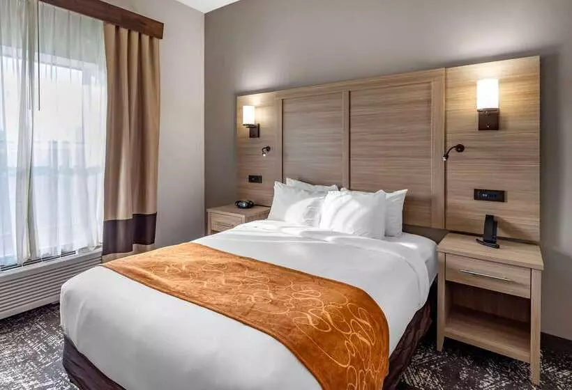酒店 Comfort Suites Anderson Clemson