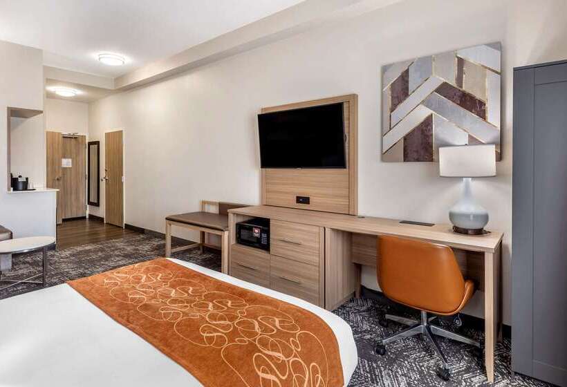 בית מלון כפרי Comfort Suites Anderson Clemson