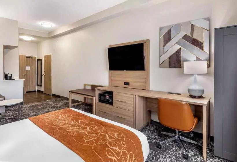 酒店 Comfort Suites Anderson Clemson