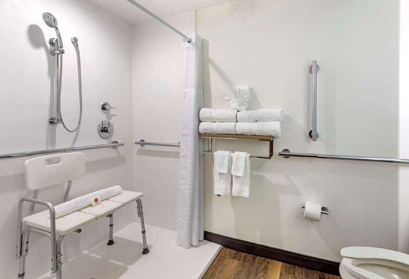 בית מלון כפרי Comfort Suites Anderson Clemson