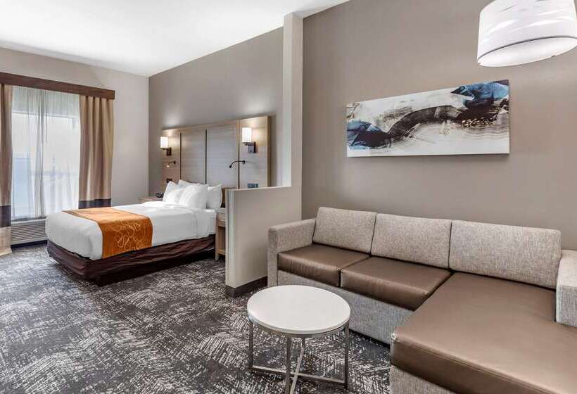 בית מלון כפרי Comfort Suites Anderson Clemson