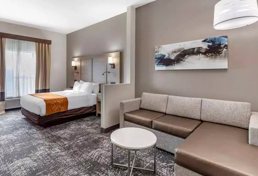 酒店 Comfort Suites Anderson Clemson