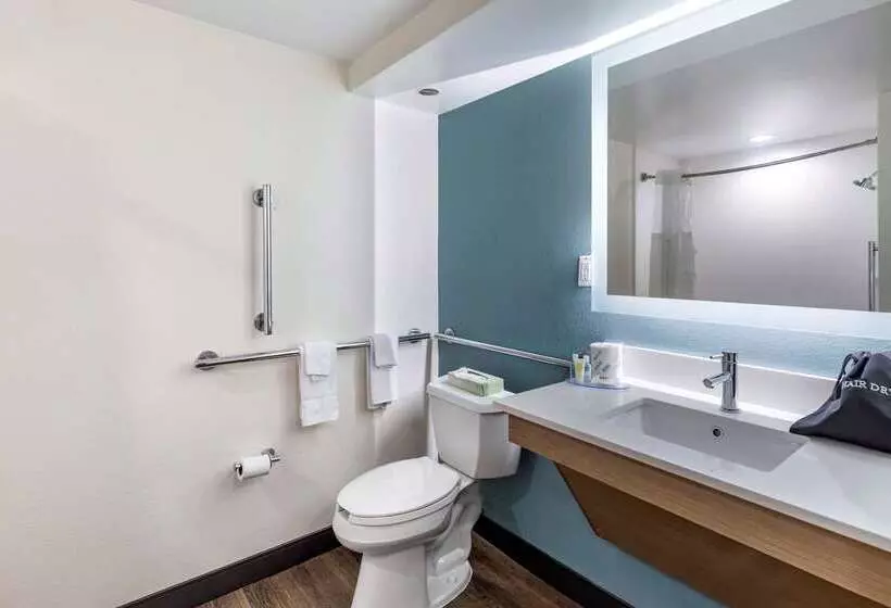 酒店 Comfort Suites Anderson Clemson