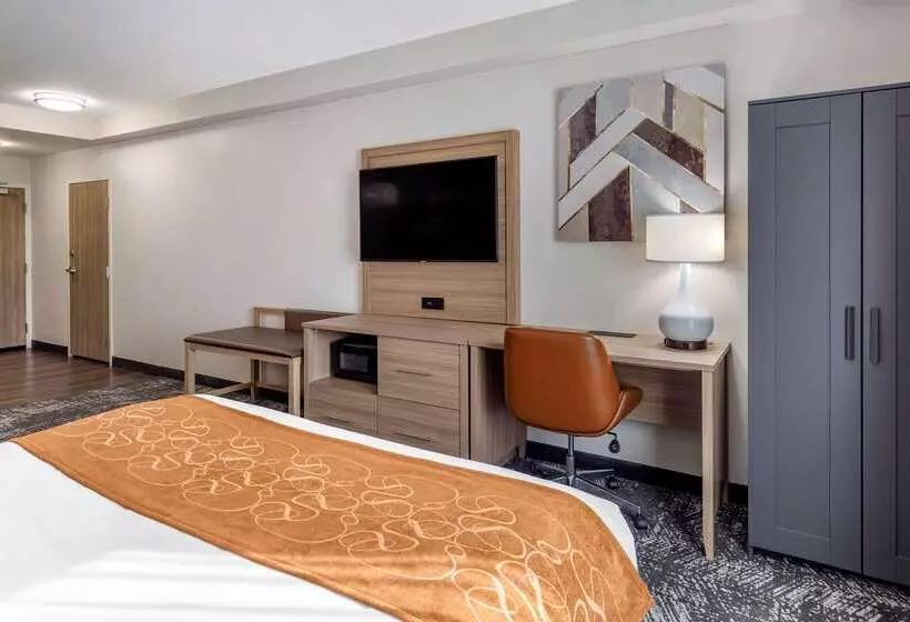 酒店 Comfort Suites Anderson Clemson