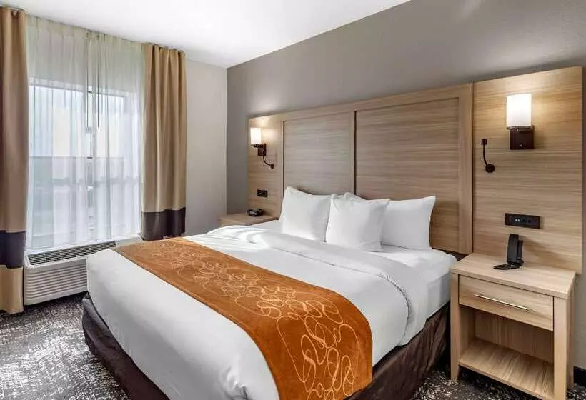 酒店 Comfort Suites Anderson Clemson