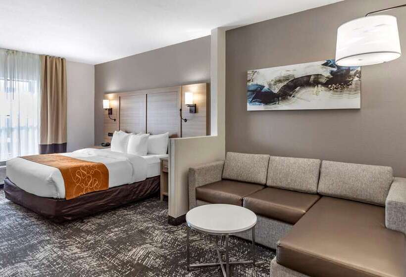 בית מלון כפרי Comfort Suites Anderson Clemson