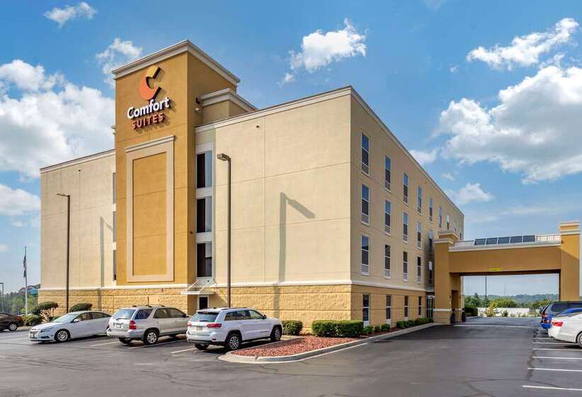 בית מלון כפרי Comfort Suites Anderson Clemson
