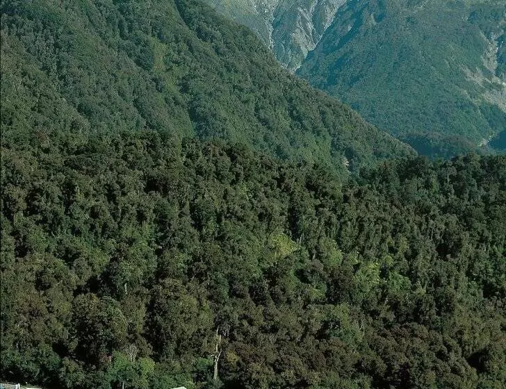 Te Weheka Hotel Fox Glacier
