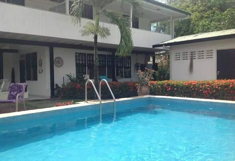 هتل Guesthouse Amice