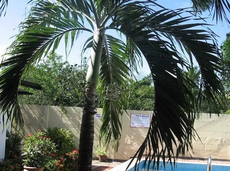 هتل Guesthouse Amice