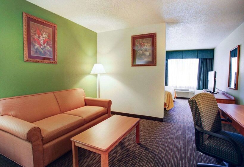 فندق Quality Inn & Suites Airport