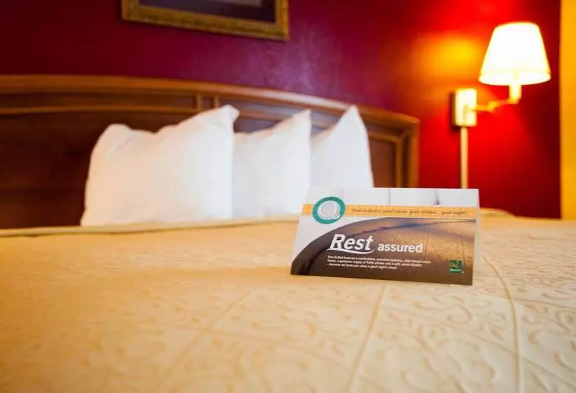 فندق Quality Inn & Suites Airport