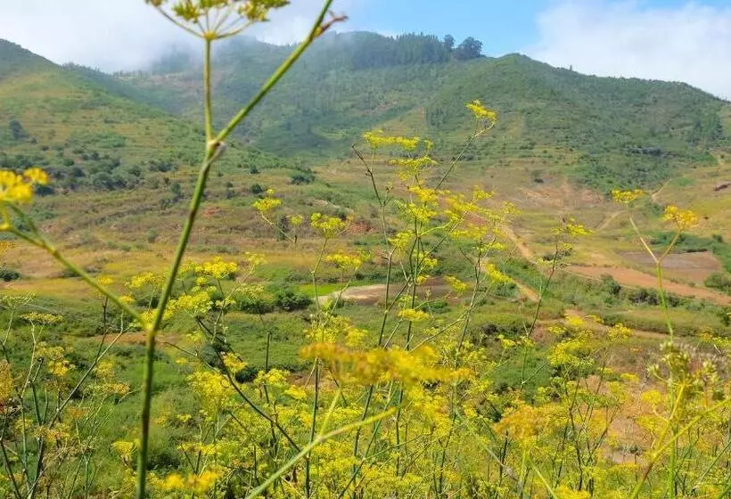Сельский отель Rural Finca La Hacienda