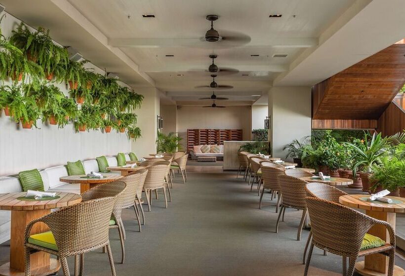 فندق Hilton Vacation Club The Modern Honolulu