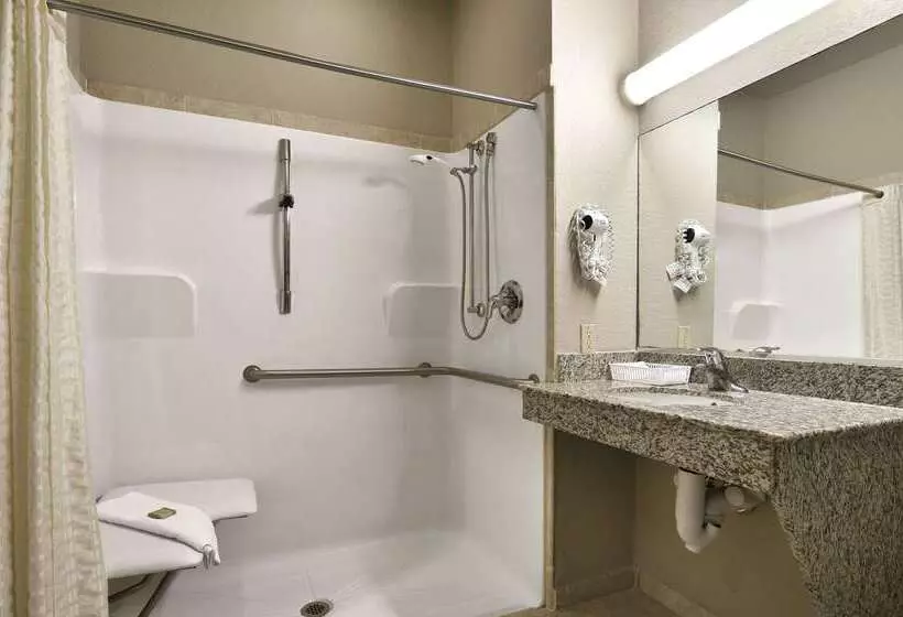 Motelli Super 8 By Wyndham San Antonio/alamodome Area