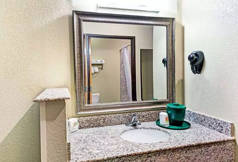 Motelli Super 8 By Wyndham San Antonio/alamodome Area
