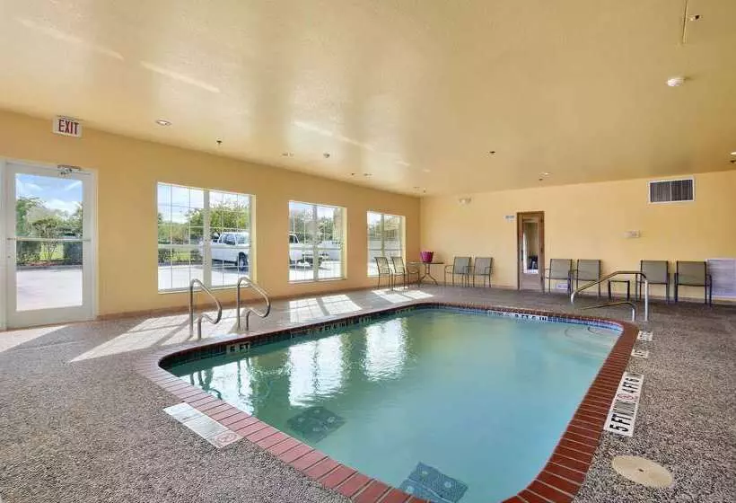 Motelli Super 8 By Wyndham San Antonio/alamodome Area
