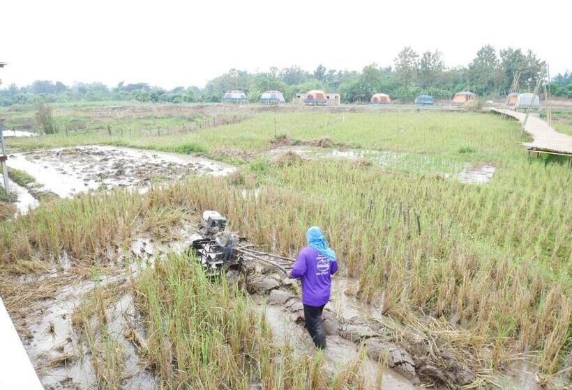 Szálloda Nok Chan Mee Na
