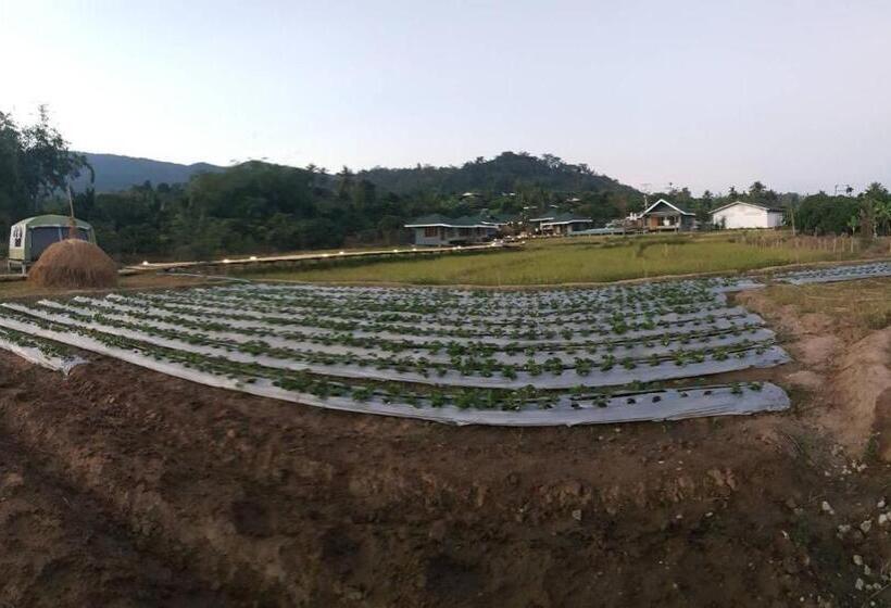 Szálloda Nok Chan Mee Na