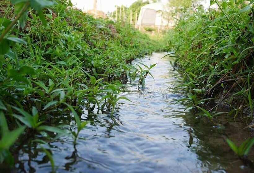 Szálloda Nok Chan Mee Na