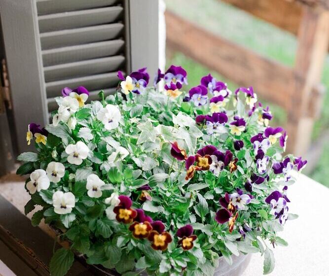 בית מלון כפרי Opora Country Living