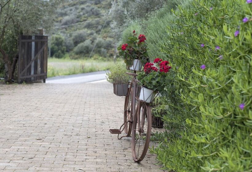 בית מלון כפרי Opora Country Living