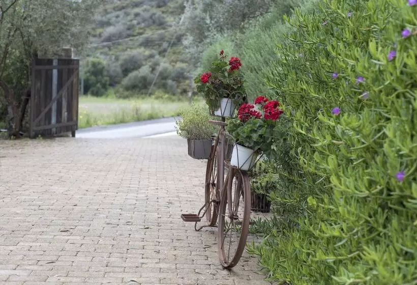 هتل Opora Country Living
