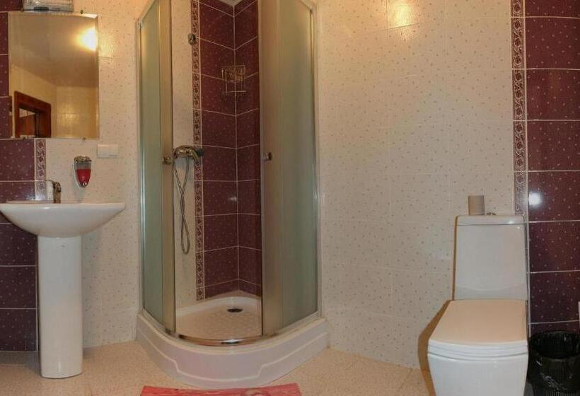 پانسیون артгір гостинний двір