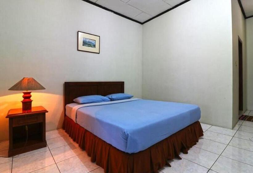 Pension (Hôtel basse catégorie) Citere Ii