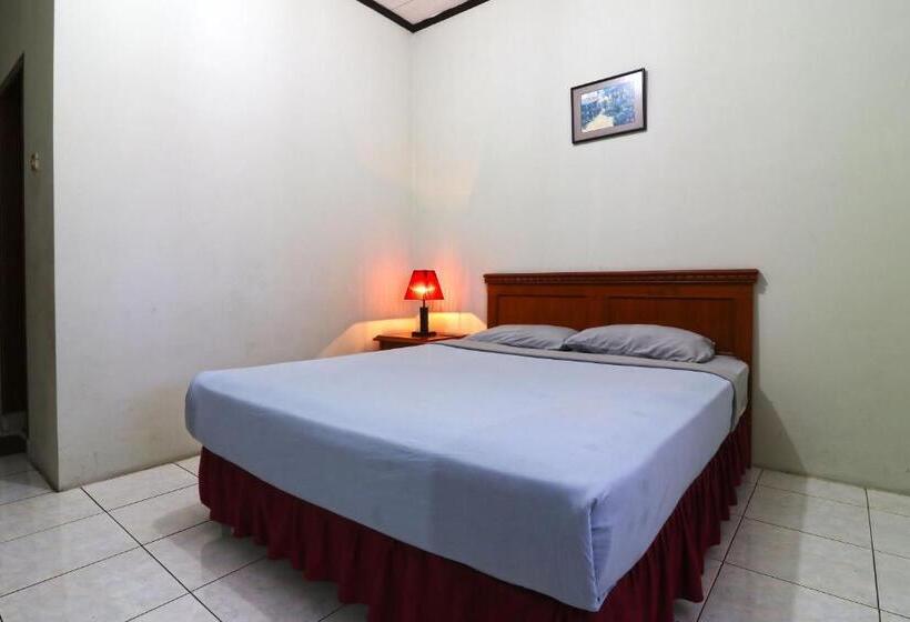 Pension (Hôtel basse catégorie) Citere Ii