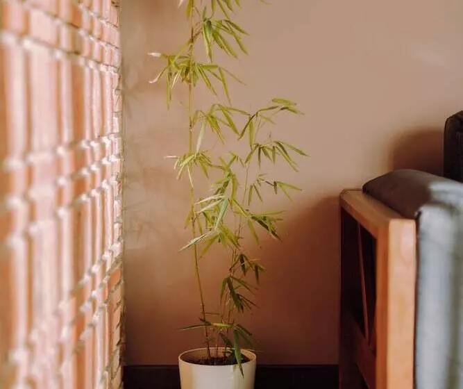 Boutique Hotel Kviria