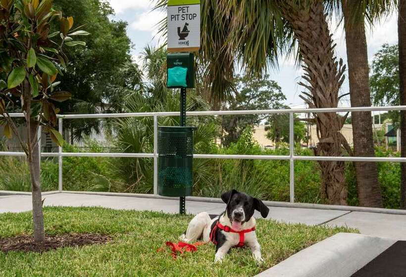 فندق Home2 Suites By Hilton Tampa Westshore Airport, Fl