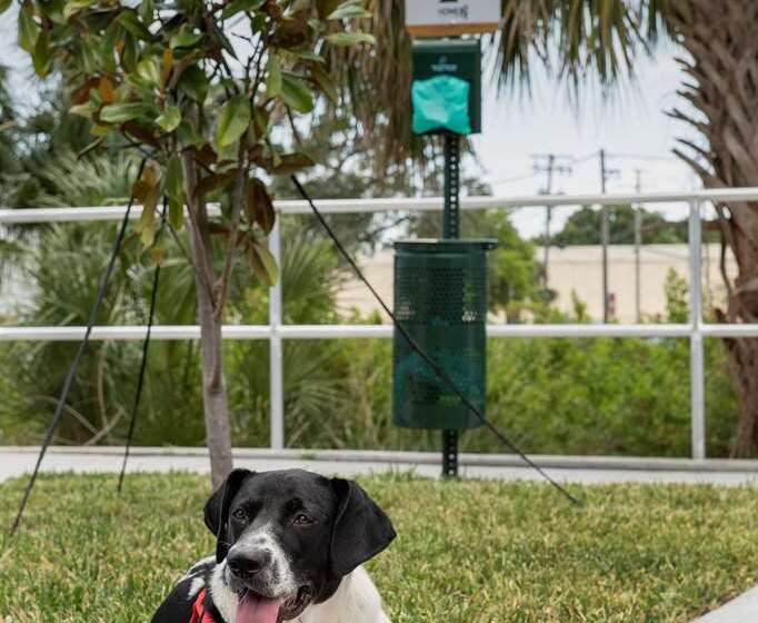 فندق Home2 Suites By Hilton Tampa Westshore Airport, Fl