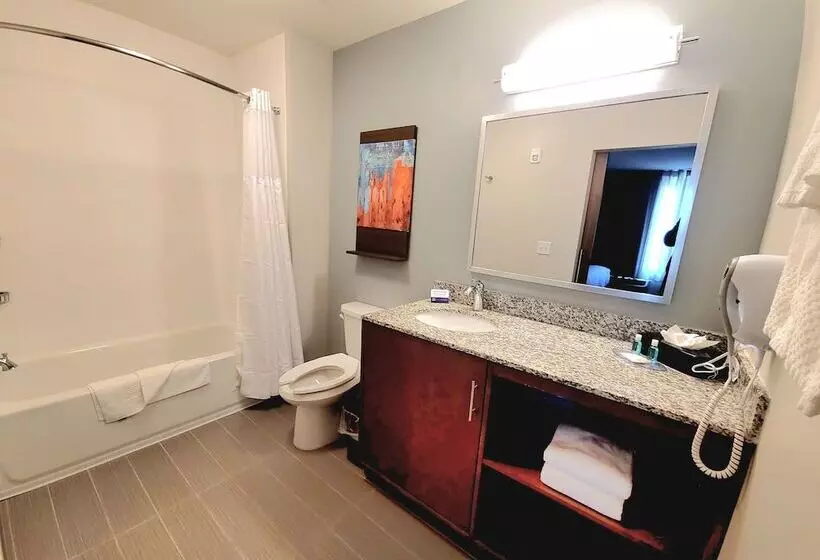 ホテル Mainstay Suites Murfreesboro