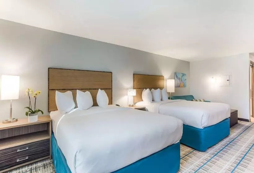 ホテル Mainstay Suites Murfreesboro