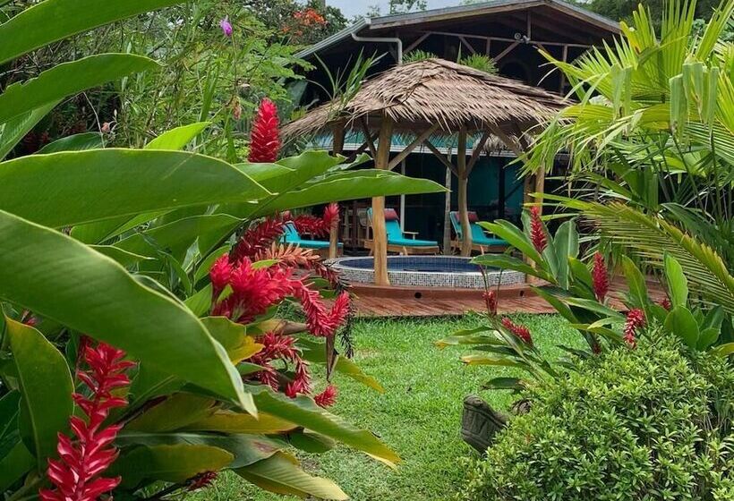 Пансион Casa Mambo