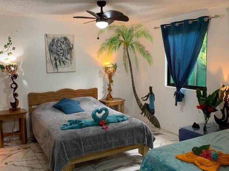 Пансион Casa Mambo