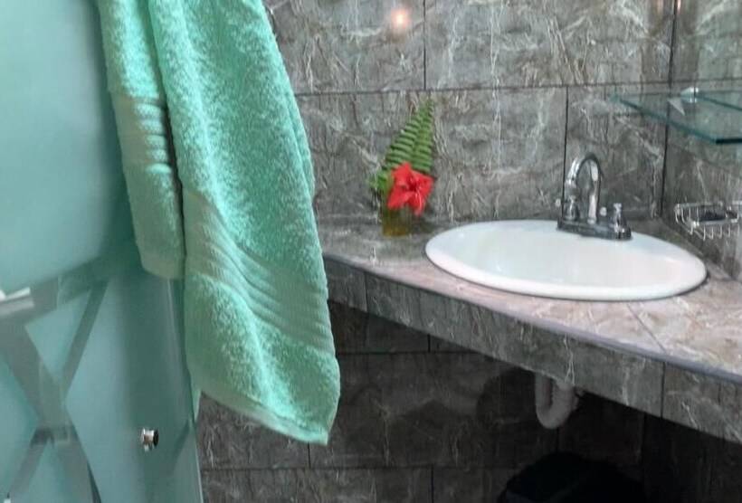 Пансион Casa Mambo