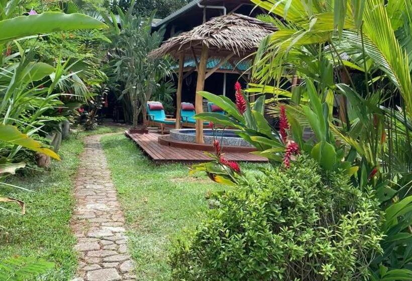 Пансион Casa Mambo