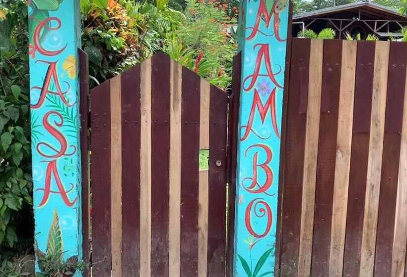 Пансион Casa Mambo