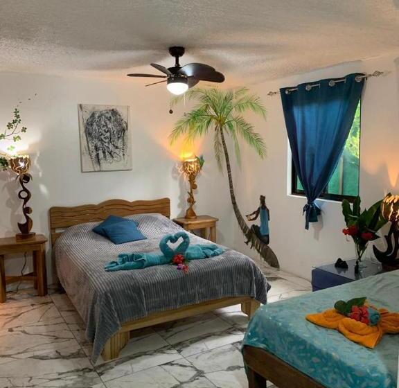 Пансион Casa Mambo