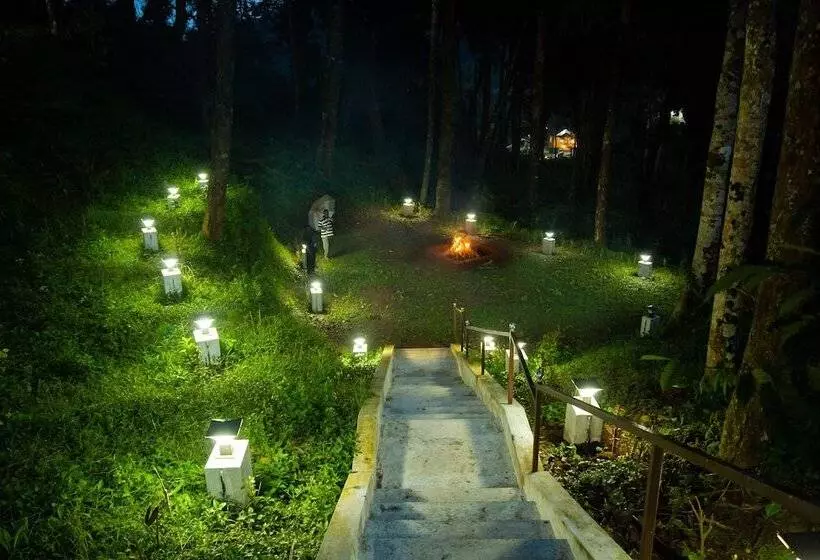 Majatalo Room In Lodge   The Nest Bettathur Coorg Ct No 1