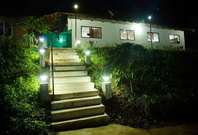 Majatalo Room In Lodge   The Nest Bettathur Coorg Ct No 1