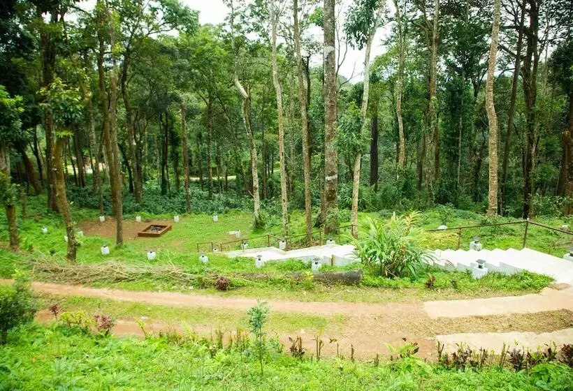 Majatalo Room In Lodge   The Nest Bettathur Coorg Ct No 1