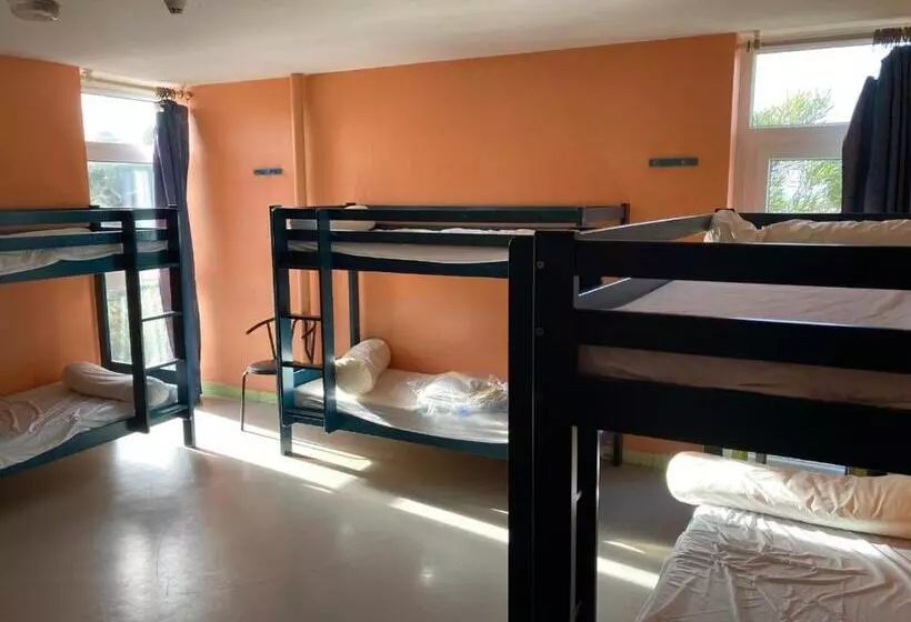 Auberge Granit Rose Hébergement Partagé En Auberge De Jeunesse Vue Sur Mer Dortoir Mixte & Cam